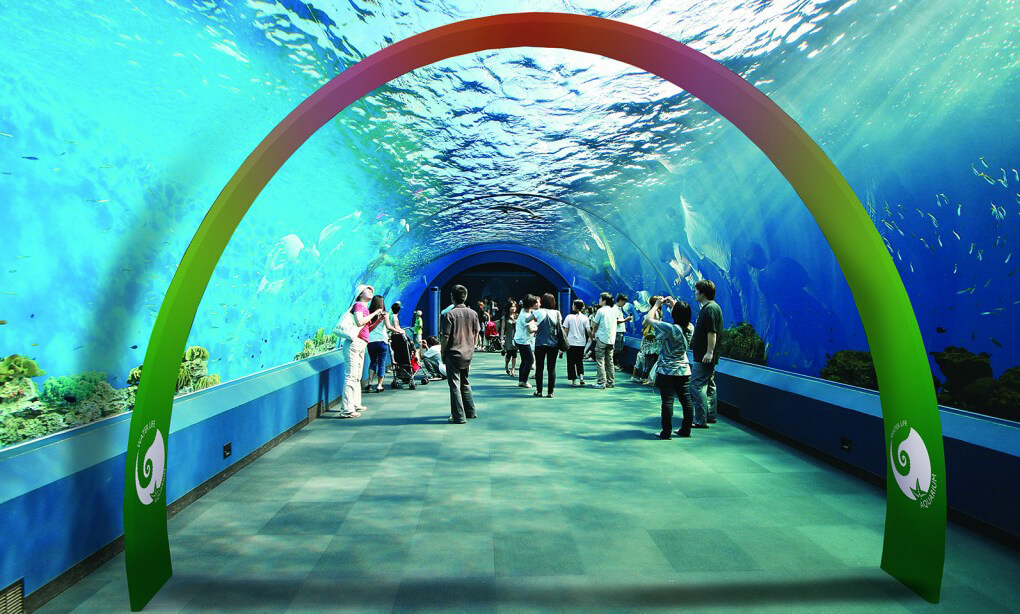 an archway made using portable display systems in a busy aquarium