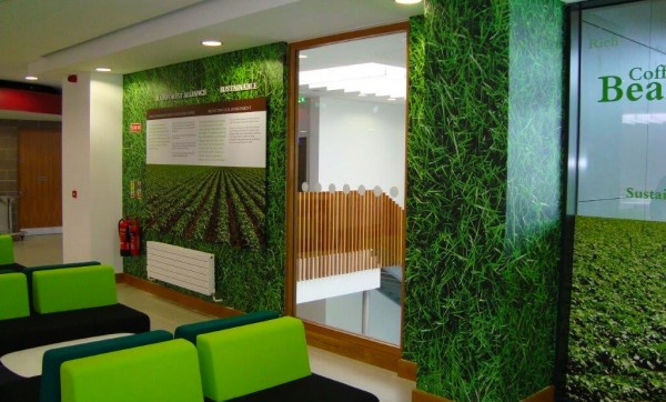 Wall graphic in an office that shows grass and shrubs